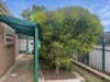 7 Adrian Court, Murray Bridge, SA 5253-Image