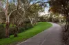 7 Alder Street, Paradise, SA 5075-Image