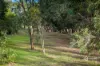 7 Alie Drive, Compton, SA 5291-Image