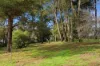 7 Allnutt Street, Bridgetown WA 6255-Image