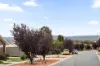7 Audrey Cahn Street, MacGregor, ACT 2615-Image