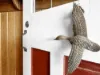 7 Aulichs Lane, St Marys, Tas 7215-Image