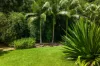 7 Babbling Brook Place, Eumundi, Qld 4562-Image