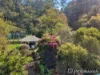 7 Bali Ct, Tamborine Mountain, Qld 4272-Image