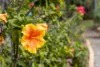 7 Bardoc Way, Greenfields, WA 6210-Image