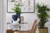 7 Barton Avenue, Hurlstone Park, NSW 2193-Image
