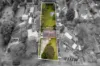 7 Beaulieu Avenue, Lilydale, Vic 3140-Image