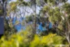 7 Belah Glen, Bendalong, NSW 2539-Image