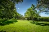 7 Briner Street, Bellingen, NSW 2454-Image