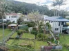 7 Broadridge Street, Wombarra, NSW 2515-Image