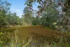 7 Brunswick Place, Wights Mountain, Qld 4520-Image