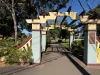 7 Buckland Street, Waterloo, NSW 2017-Image