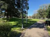 7 Buckland Street, Waterloo, NSW 2017-Image