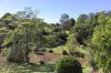 7 Bullock Court, Kureelpa, Qld 4560-Image