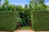 7 Burnie Place, Mardi, NSW 2259-Image