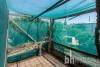 7 Busch Street, Mannum, SA 5238-Image