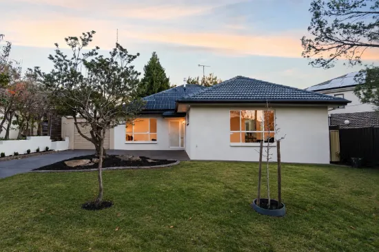 7 Carunta Street, Wattle Park, SA 5066
