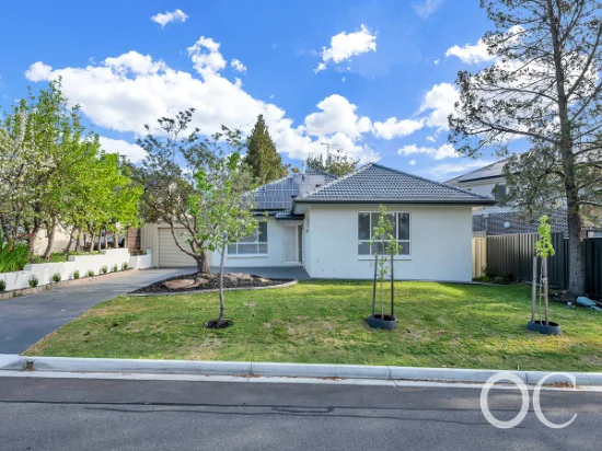 7 Carunta Street, Wattle Park, SA 5066