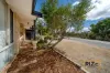 7 Celadon Loop, Banksia Grove, WA 6031-Image