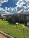 7 Collier Place, South Kalgoorlie, WA 6430
