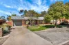 7 Cook Street, Nuriootpa, SA 5355-Image