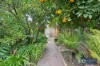 7 Cranford Avenue, Brentwood, WA 6153-Image