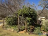 7 Dalkeith Street, Nanango, Qld 4615-Image