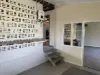 7 Dalrymple Street, Ingham, Qld 4850-Image