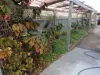 7 Darts Avenue, Rainbow, Vic 3424-Image