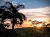 7 Davis Street, Mount Larcom, Qld 4695-Image