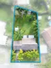 7 Denkmann Court, Windaroo, Qld 4207-Image
