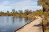 7 Dolphin Crescent, Eden, NSW 2551-Image