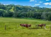 7 Don Lee Close, Armstrong Creek, Qld 4520-Image
