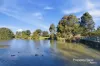 7 Dunstan Avenue, Milperra, NSW 2214-Image
