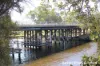 7 East Street, Guildford, WA 6055-Image