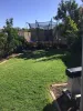 7 Eyre Street, Loxton SA 5333-Image