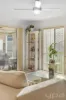 7 Fimbriata Court, Ormeau, Qld 4208-Image