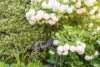 7 Free Place, Fadden, ACT 2904-Image