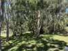 7 Freestone Court, Warwick, Qld 4370-Image