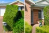 7 Grevillea Drive, Medowie, NSW 2318-Image