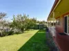7 Grosser Street, Millicent, SA 5280-Image