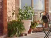 7 Haddon Place, Blayney NSW 2799-Image