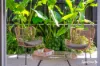 7 Havenview Court, Bahrs Scrub, Qld 4207-Image