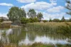7 Helby Street, Harrison, ACT 2914-Image