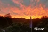 7 Hibiscus Street, Parklands, Qld 4560-Image
