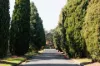 7 Higgins Crescent, Ainslie, ACT 2602-Image