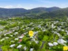 7 Hoad Street, Earlville, Qld 4870-Image