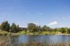 7 Hogg Street, Casey, ACT 2913-Image