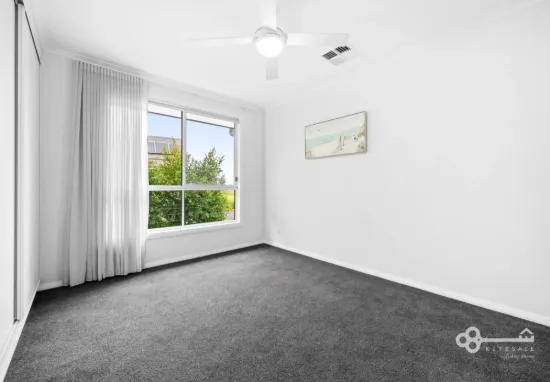 7 Holloway Street, Donovans, SA 5291-Image