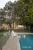 7 Holzer Street, Sandringham, Vic 3191-Image